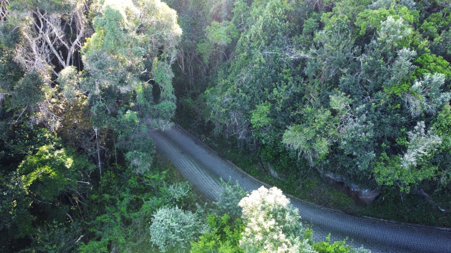 Commercial Property for Sale in Wilderness Central Western Cape